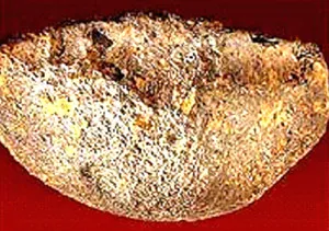 Du lịch bằng... thủy buýt ảnh 4