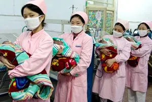 Gấu trúc hôn nhau như... người ảnh 4