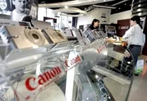 Gấu trúc hôn nhau như... người ảnh 3