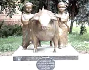 Gấu trúc hôn nhau như... người ảnh 2