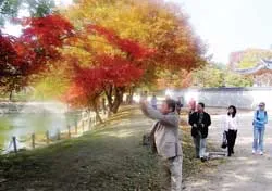 Bài 1: Lãng mạn mùa thu Hàn Quốc