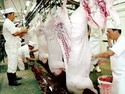 Thị trường Tết Mậu Tý: Giá sẽ tăng mạnh ảnh 2