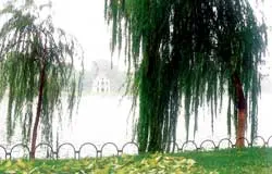 Góc ảnh đẹp ảnh 2