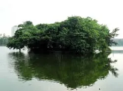 Hồ Trúc Bạch ảnh 2