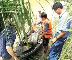 Đã bắn và bắt lại được 29 con