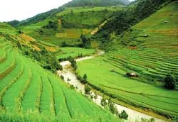 Đi chợ Mường Hum