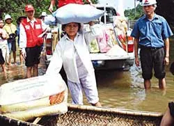 Lũ rút: Khó khăn chồng chất ảnh 2