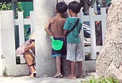 TP Hồ Chí Minh : Phá tổ chức “cái bang” cực lớn ảnh 2