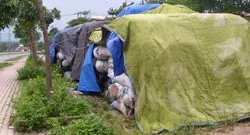 Vỉa hè thành... nhà kho