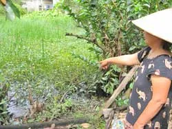 Xử lý ô nhiễm môi trường ở cấp cơ sở: Cơ quan chức năng thiếu... đủ thứ! ảnh 2