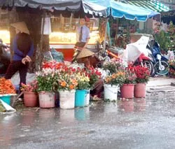 “Tết nhà giáo” vùng lũ