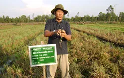 Dược sĩ “đất phèn”