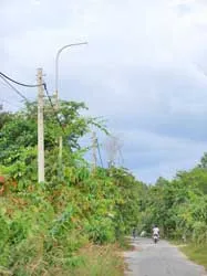 Cái sảy nảy cái ung