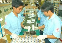 Điện Quang cung cấp đèn compact cho EVN