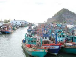 Khẩn cấp đối phó bão số 7 ảnh 2