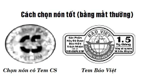 Đội nón bảo hiểm như thế nào cho đúng cách? ảnh 2