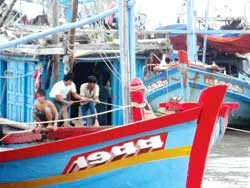 Báo động cao ảnh 2