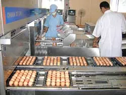 TPHCM đi đầu về an toàn vệ sinh thực phẩm, nhưng…