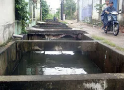 Cấm thì cứ cấm! ảnh 2