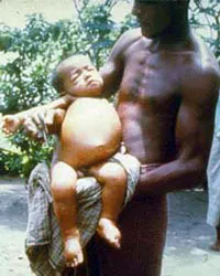 Bài 3: Thế giới phù thủy