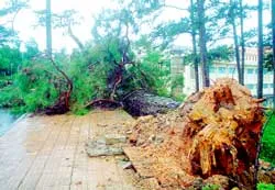 Bão số 7 suy yếu và quay ngược ra biển Đông ảnh 2