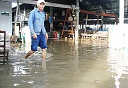 Triều cường ở TPHCM đạt đỉnh cao nhất 48 năm qua: Nhiều nơi ngập nặng, thiệt hại chưa tính hết ảnh 3