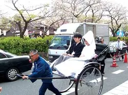 Bạch kim rớt giá vì… ít đám cưới