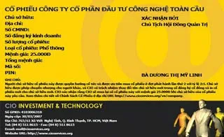 Rao bán cổ phiếu trên mạng: Cảnh giác với những dự án ảo ảnh 2