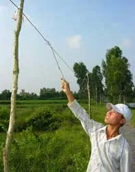 ĐBSCL: Trả tiền hụt hơi vì xài điện câu đuôi