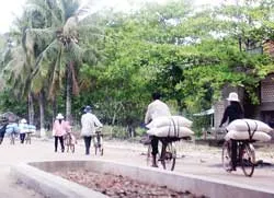 Đường nội tăng giá, đường ngoại tràn ngập ảnh 2