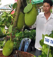 Sáng nay, tại Cần Thơ: 337 doanh nghiệp tham gia Hội chợ Nông nghiệp quốc tế Việt Nam 2007