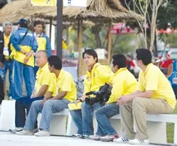 Hoàng kim giáp ảnh 1