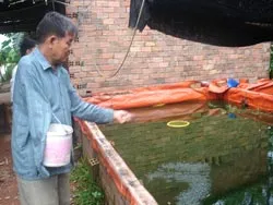 “Thầy” cá Ba Phép