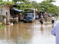 Ứng dụng công nghệ mới làm đê, kè chống ngập úng