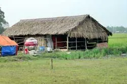 Lở mồm long móng trên heo:  Vĩnh Lộc A và B có nguy cơ cao