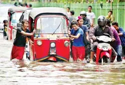 Các nhà khoa học kêu gọi giảm lượng khí thải gây hiệu ứng nhà kính