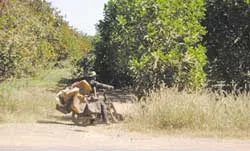 Tây Ninh: Buôn lậu không khó! ảnh 2