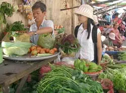 Sinh viên trong cơn “sốt giá”