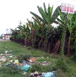 Cấm cũng như không!