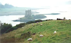 Người đánh cá quèn đương đầu nhà tỷ phú ảnh 3