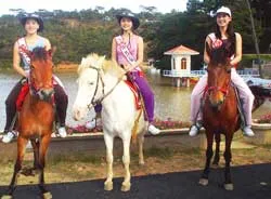 Lên núi tìm người đẹp ảnh 2