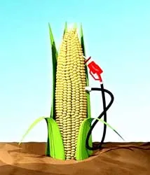 Ngành công nghiệp đang phát triển