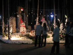 Đầm Sen tưng bừng đón Giáng sinh 2007 ảnh 2