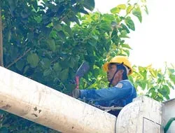 Góc ảnh Xấu - Đẹp ảnh 3