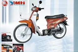 Bước “nhảy vọt” của Kia tại Việt Nam ảnh 2