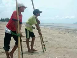 Nghề cào nghêu ở Cần Giờ ảnh 2