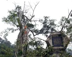 Cần có giải pháp để bảo tồn