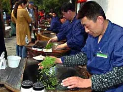 Bài 1: Xứ sở của danh trà