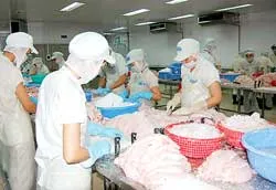 Nhiều cơ hội đẩy mạnh xuất khẩu trong năm 2008