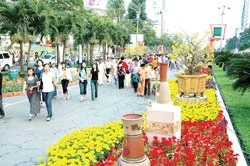 Lễ hội Tết 2008 có gì mới ?